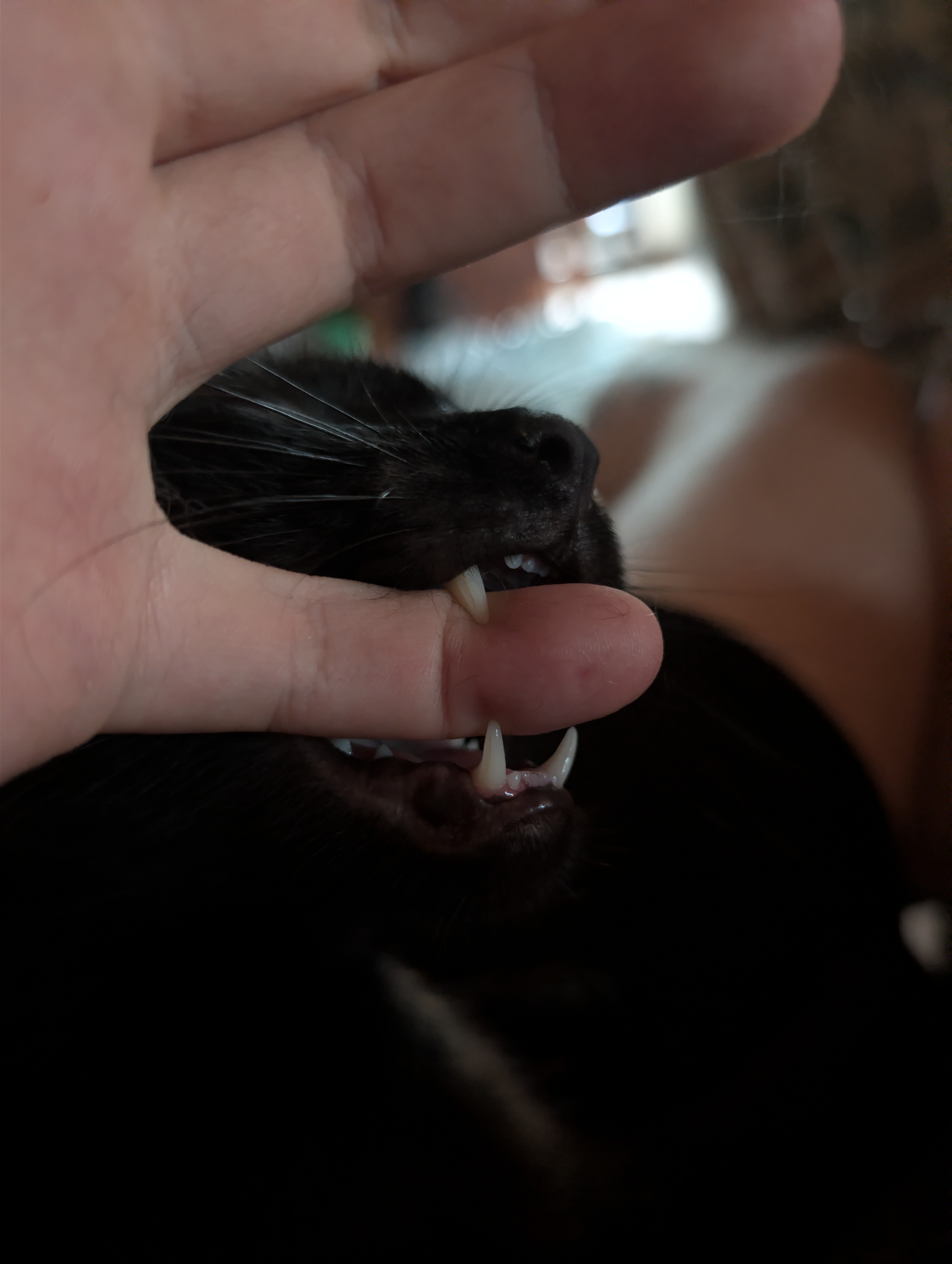 attachment