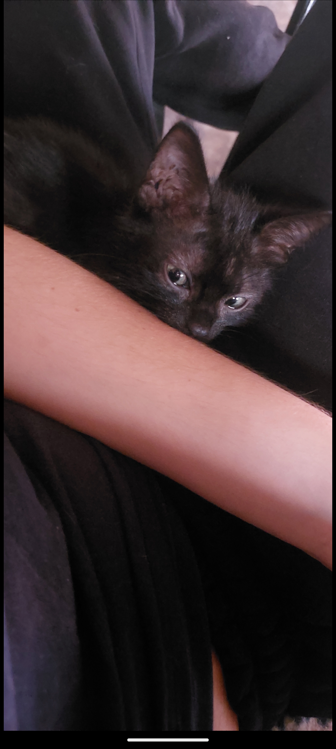attachment