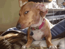attachment