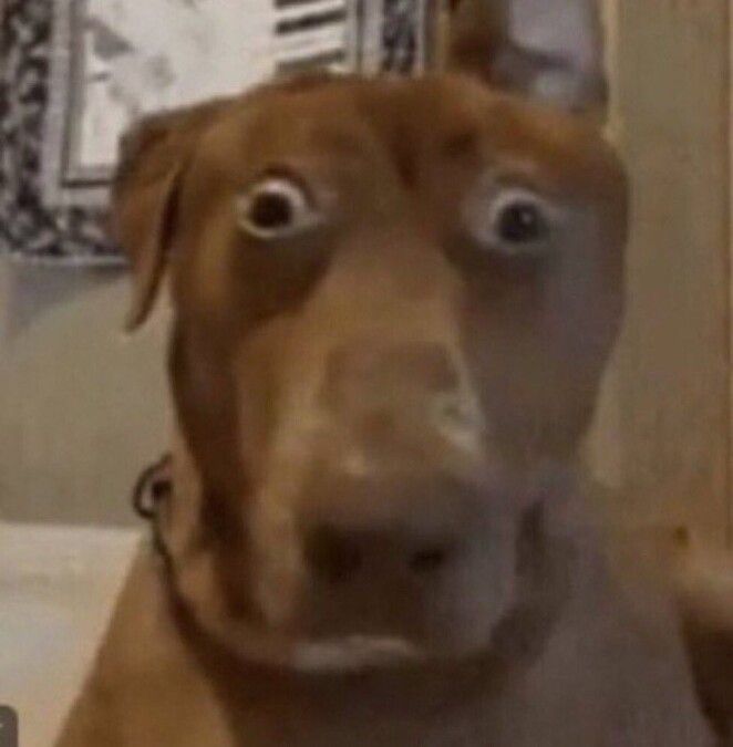 attachment