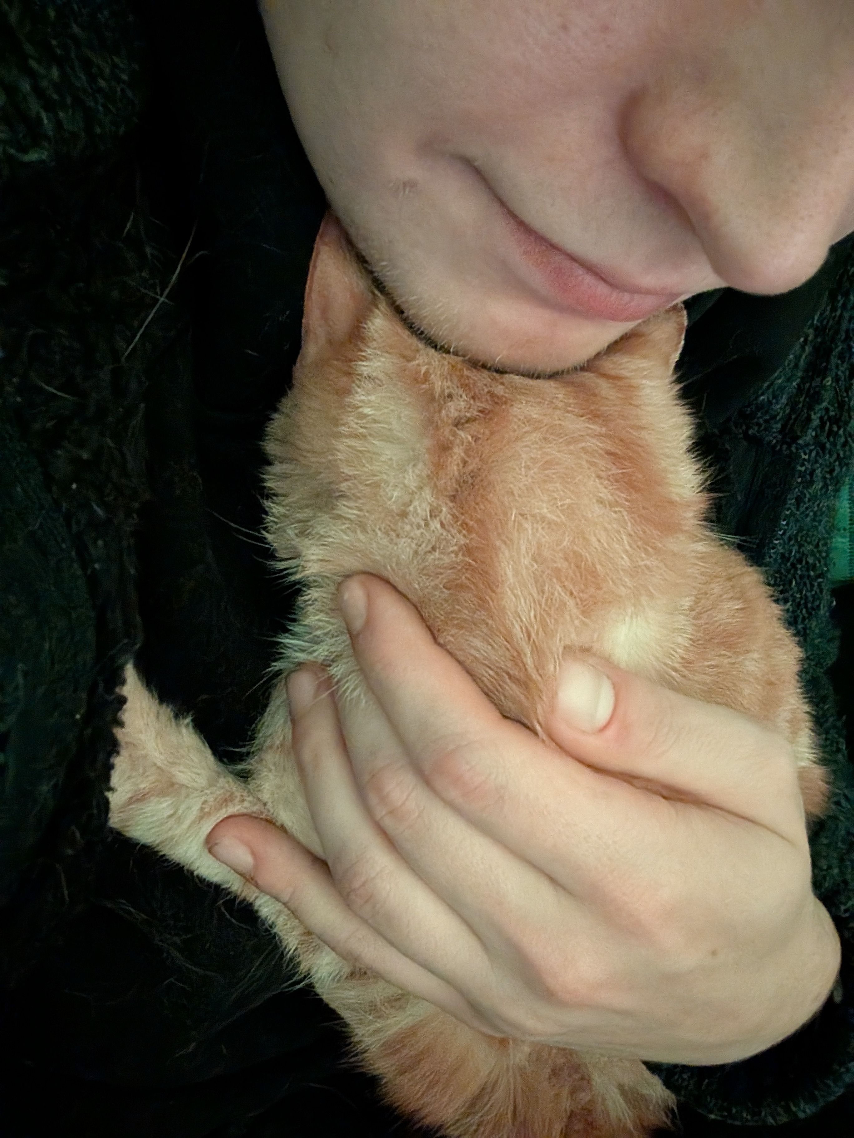 attachment